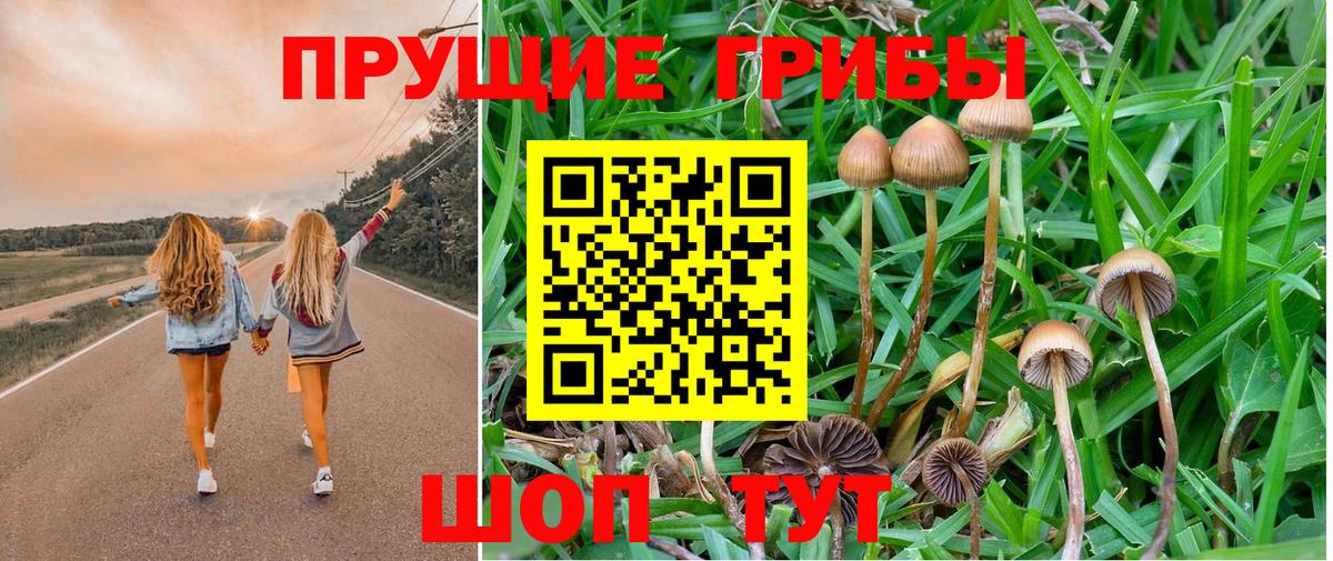 Галлюциногенные грибы Magic Shrooms Славгород
