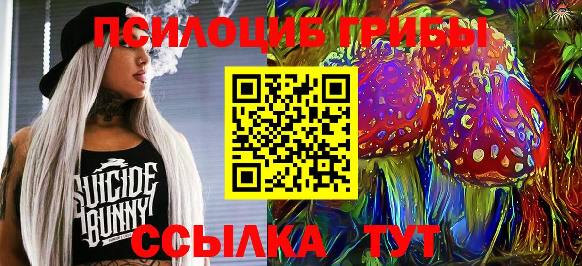 Славгород  наркошоп  Вход с VPN  Галлюциногенные грибы прущие грибы  Галлюциногенные грибы Magic Shrooms 